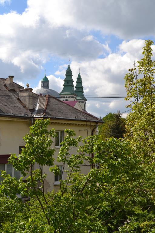 Catedra View Apartment Ternopil Exteriör bild