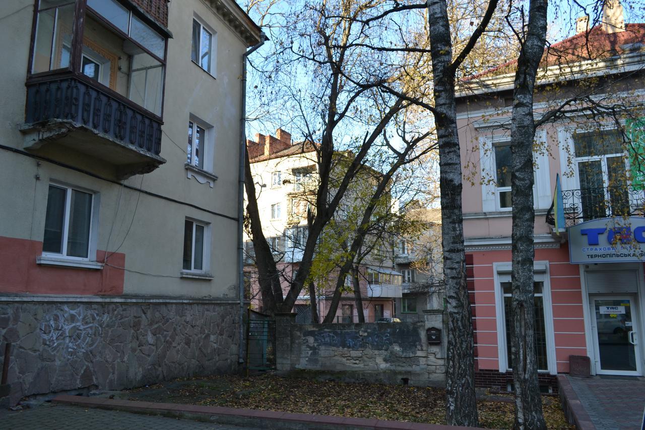 Catedra View Apartment Ternopil Exteriör bild
